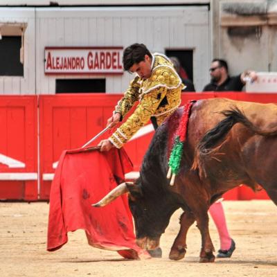 2017 Novillada du Samedi de Pentecôte à Nîmes