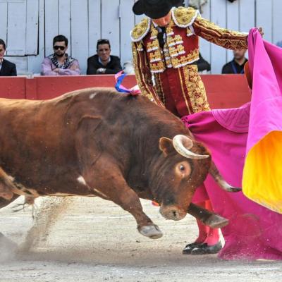 2017 Corrida du Samedi de Pâques à Arles