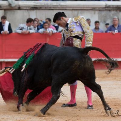 Manolo Vanegas triomphe lors de l'ouverture de la feria des Vendanges à Nîmes