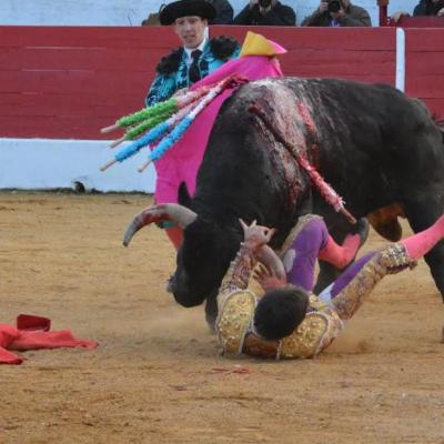 Aignan : Triomphe de Cesar Valencia