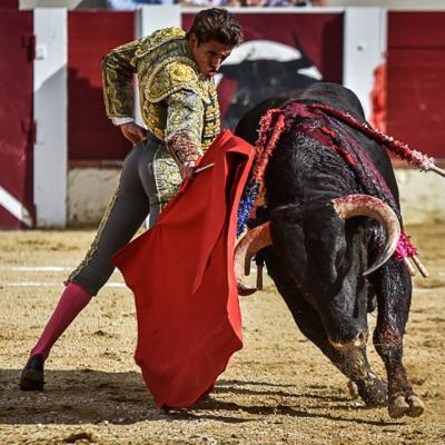 Novillada de Garlin 2016 : Triomphe de David Adame