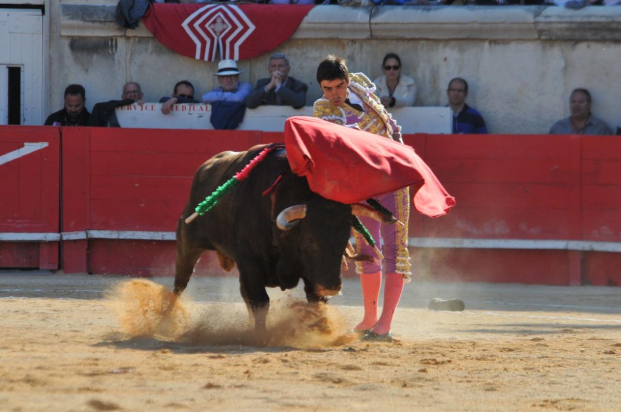 corridalundiam (21)
