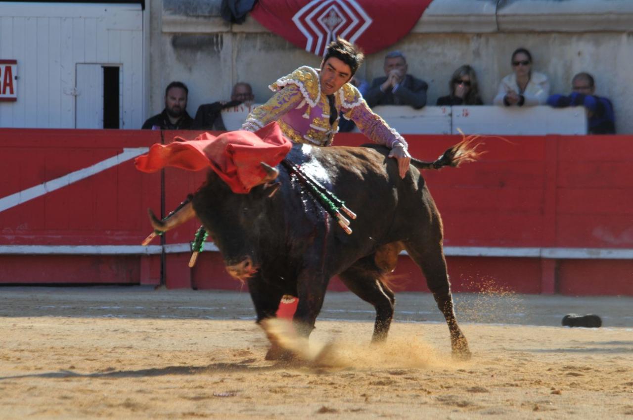 corridalundiam (23)