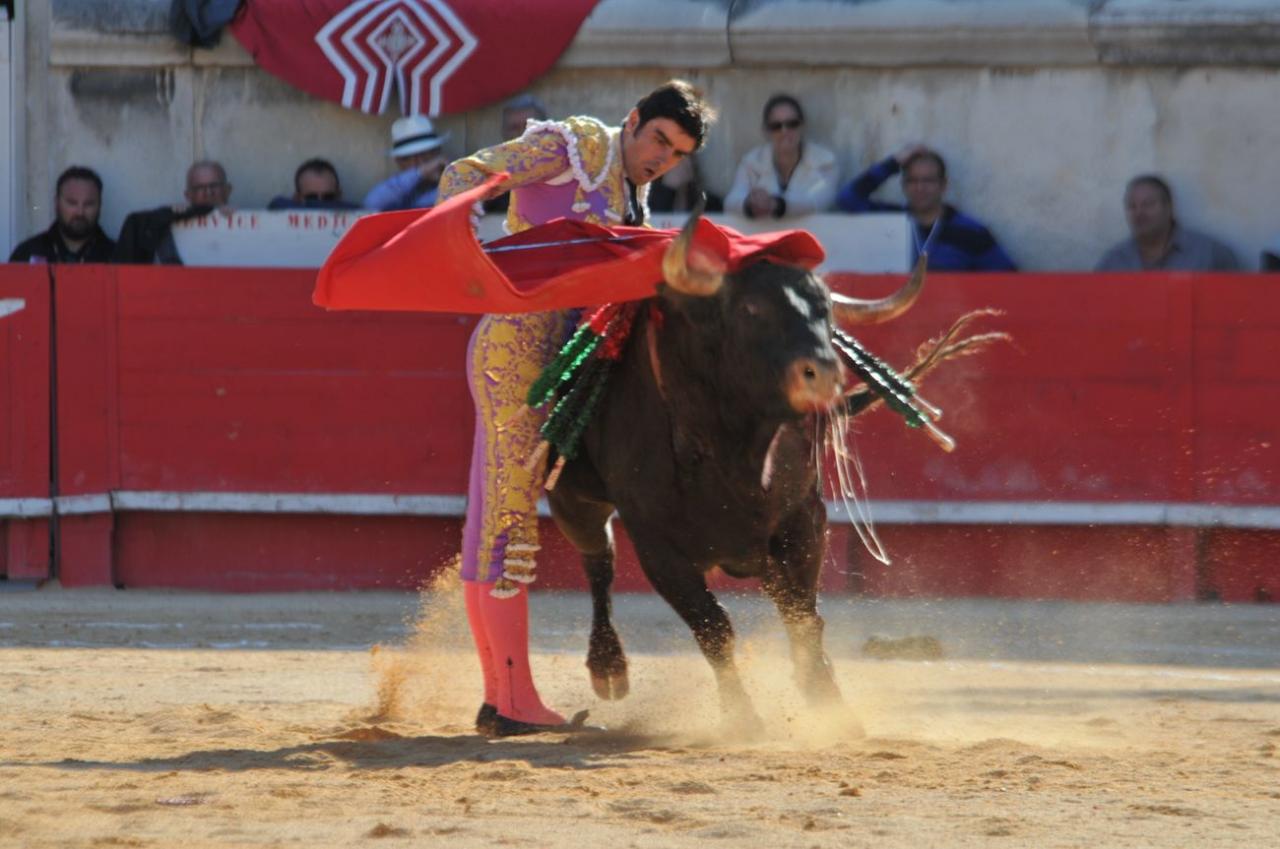 corridalundiam (24)