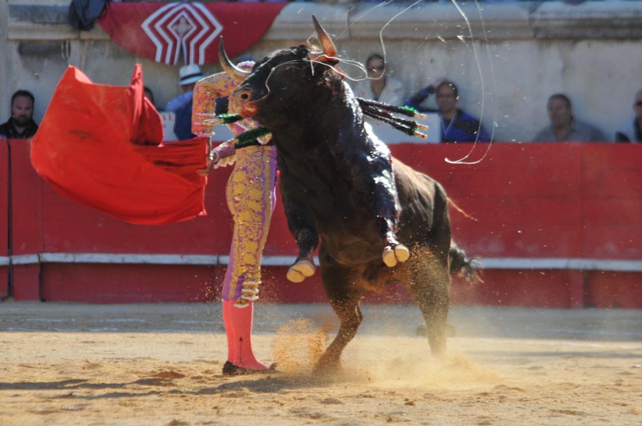 corridalundiam (25)