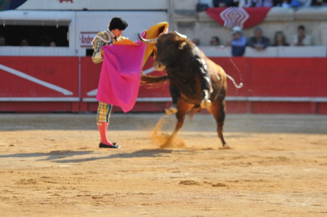corridalundiam (26)
