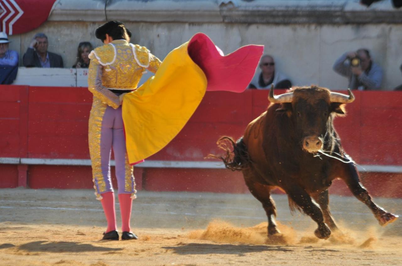 corridalundiam (27)