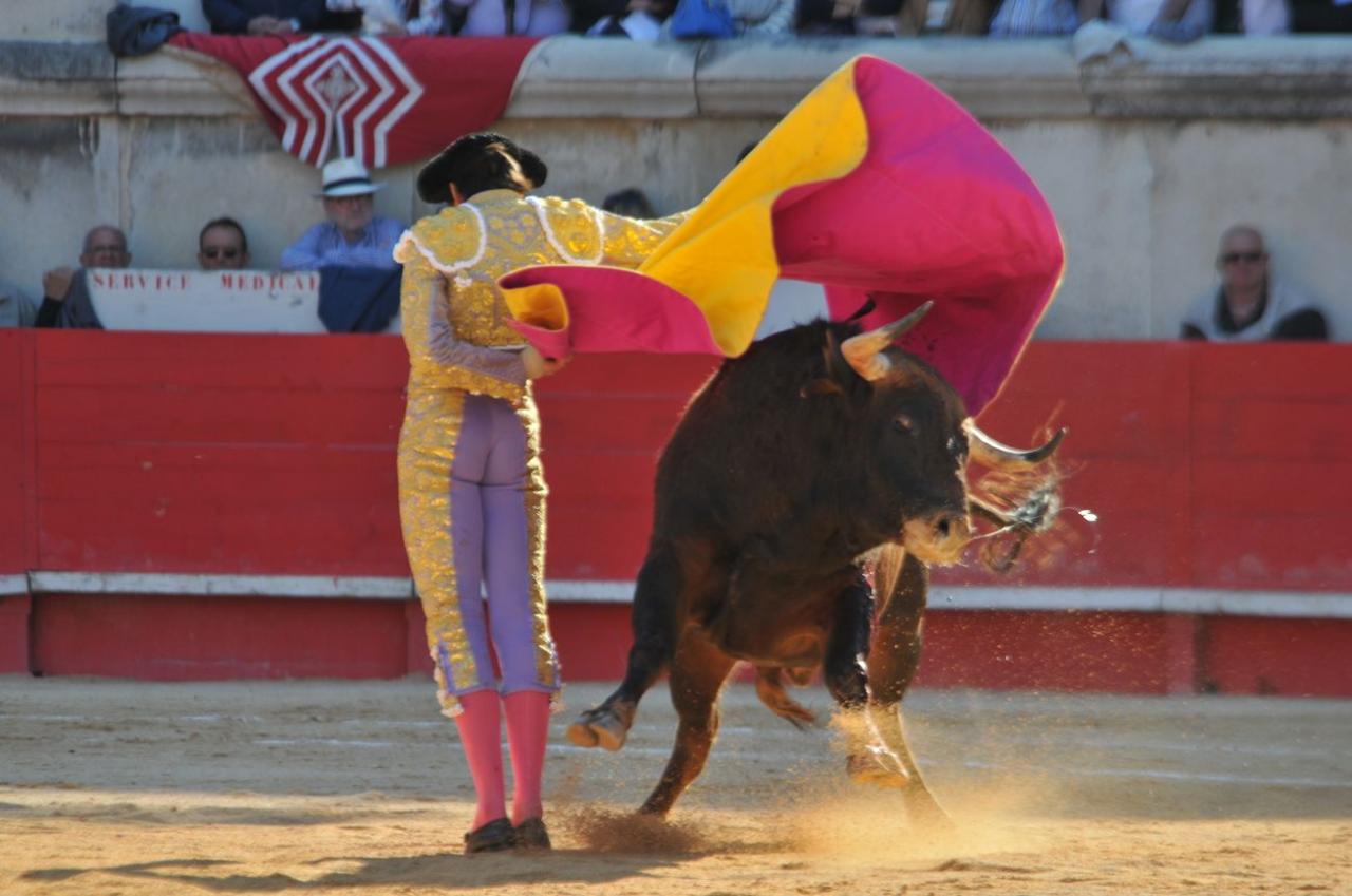 corridalundiam (28)