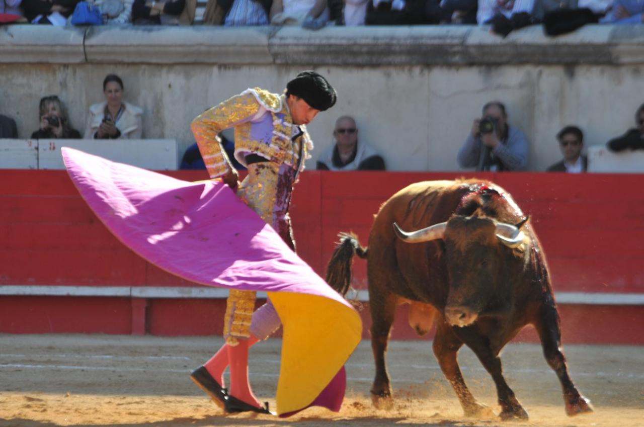 corridalundiam (29)