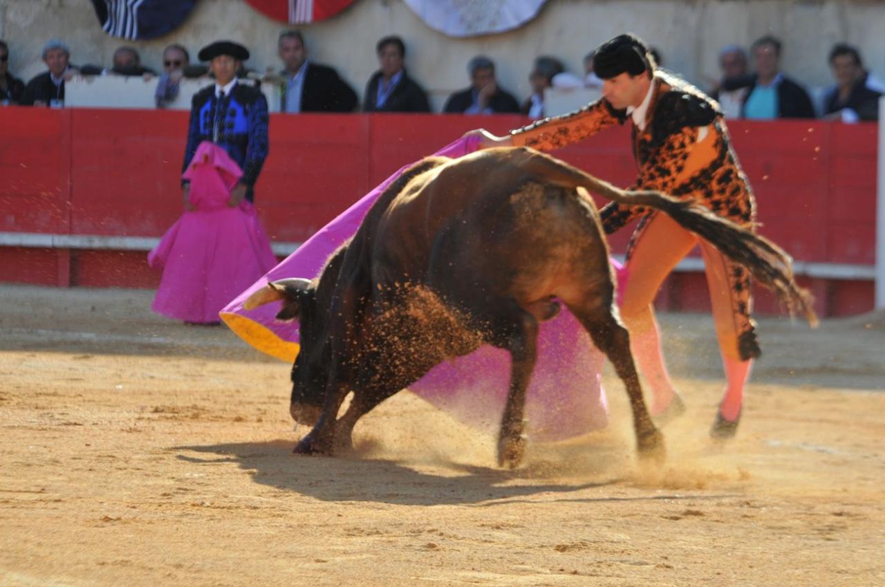 corridalundiam (30)