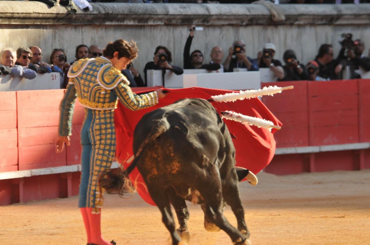 corridalundiam (32)