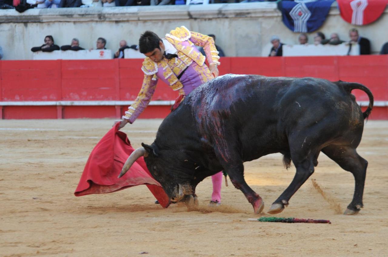 corridalundiam (34)