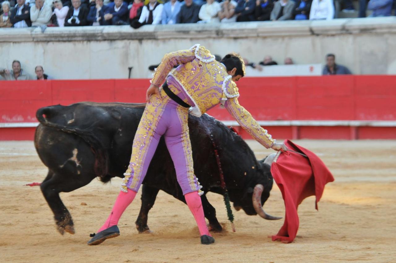 corridalundiam (35)