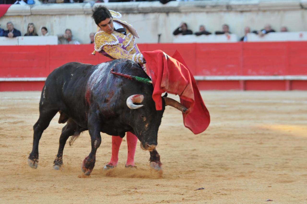 corridalundiam (36)