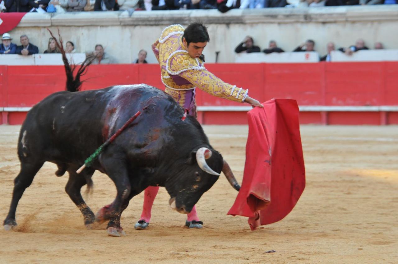 corridalundiam (38)