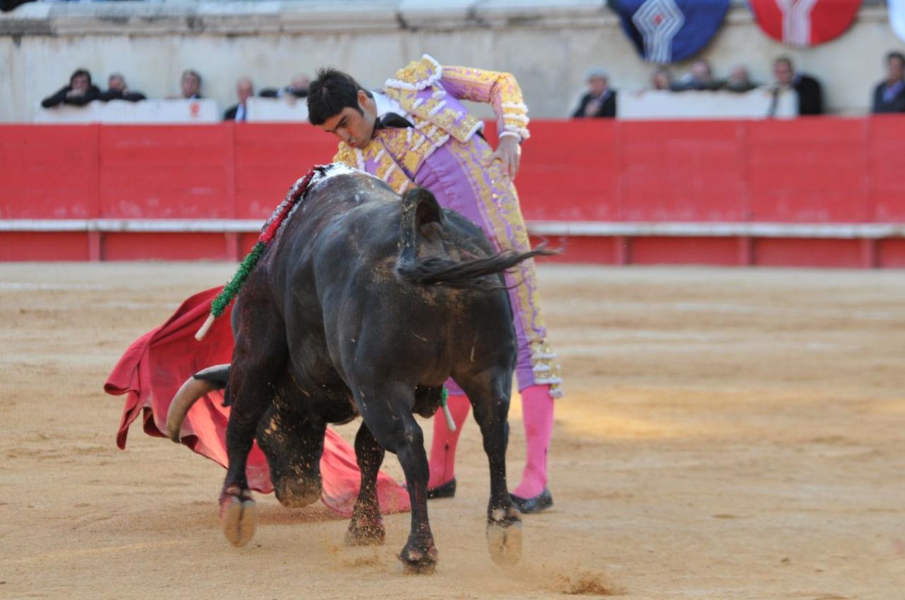 corridalundiam (39)
