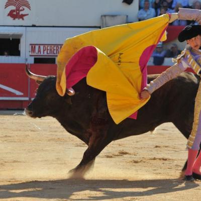 Nimes: Corrida du Lundi Après Midi