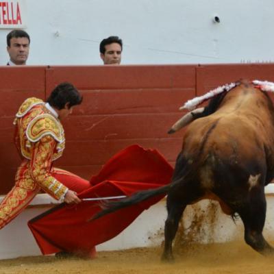 Corrida Saint Sever : Mano a mano Castella - Garrido : Dimanche 26 juin 2016