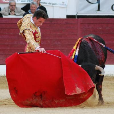 Aire sur l'Adour : Dimanche 1 mai : Desafio Ganadero