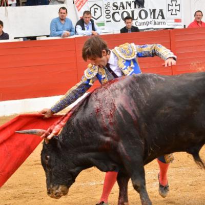 Aire sur l'Adour : Corrida concours : 19 juin