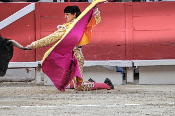 DSC_1290_Enhancer