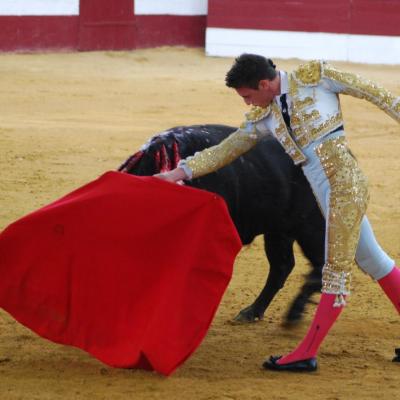 Samadet : Triomphe de Tibo Garcia