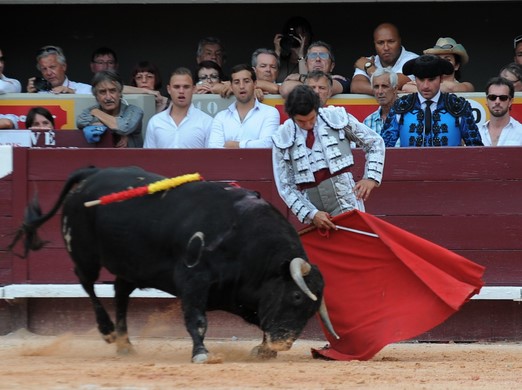 Photo : Jesus Camacho