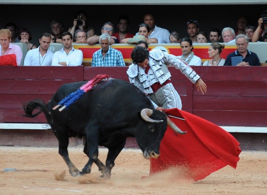 Photo : Jesus Camacho