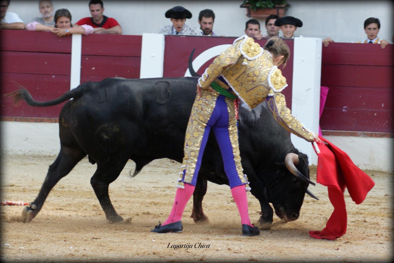GARLIN ANDY 12