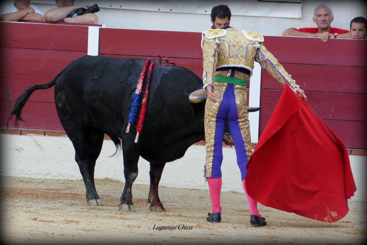 GARLIN ANDY 15