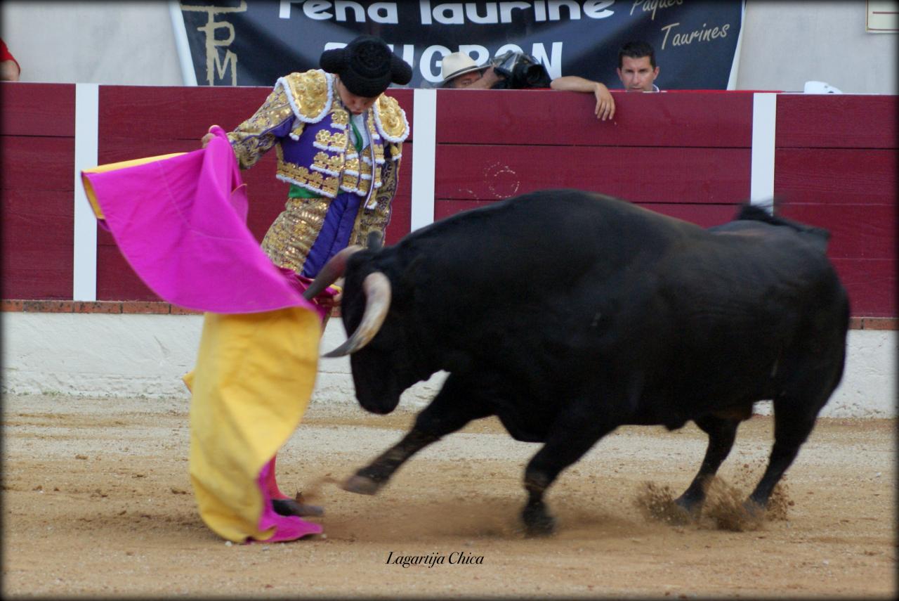 GARLIN ANDY 16