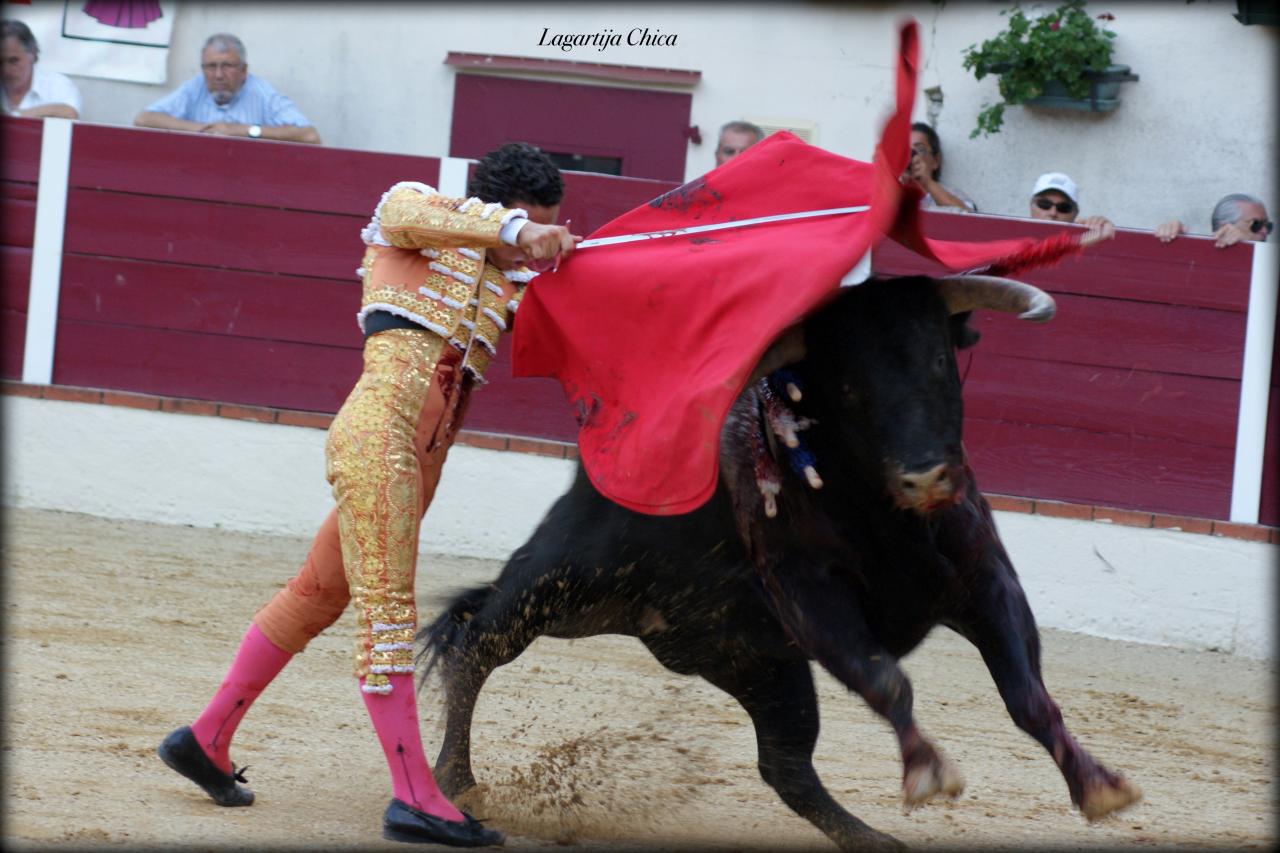 GARLIN GALDOS 11