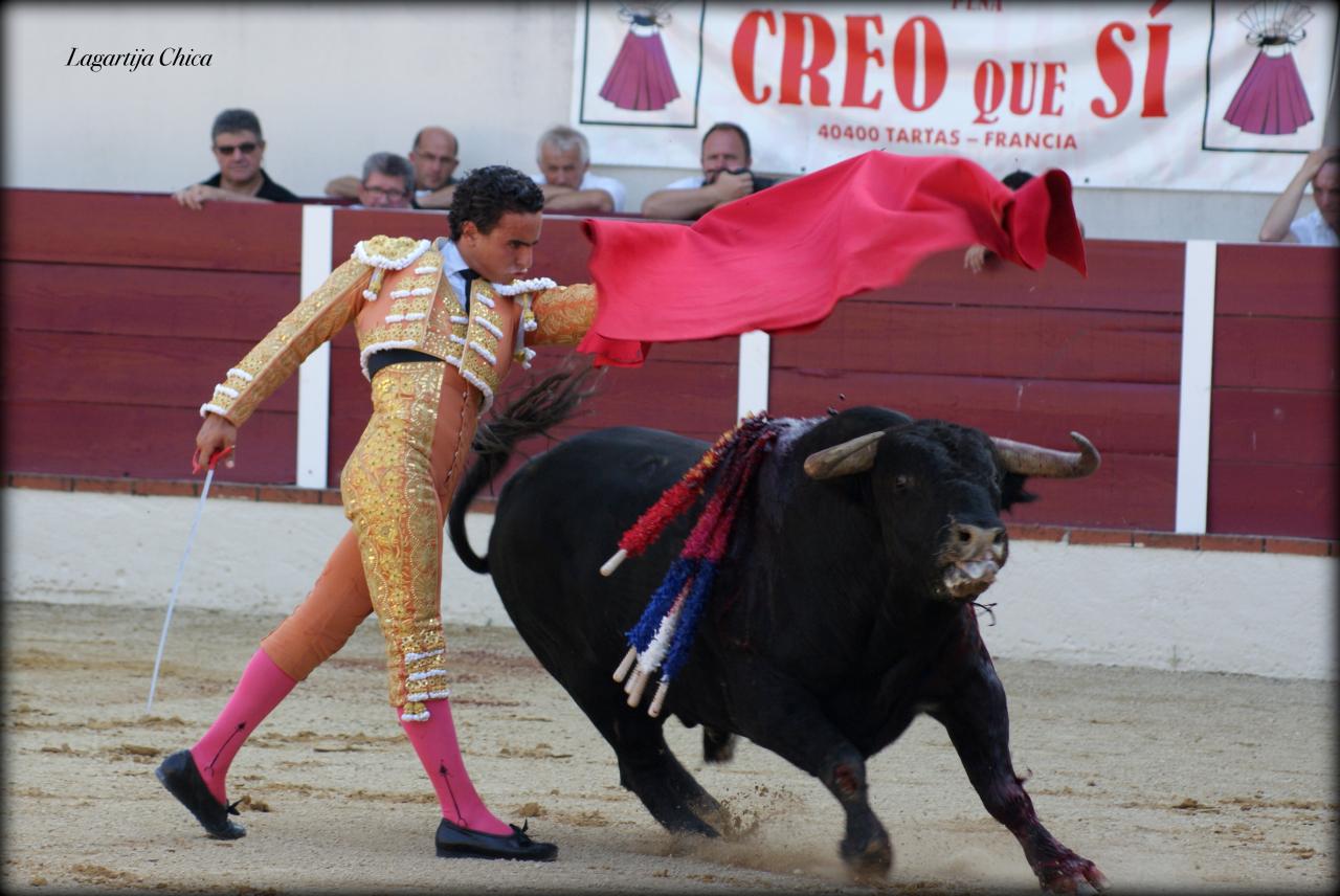 GARLIN GALDOS 3