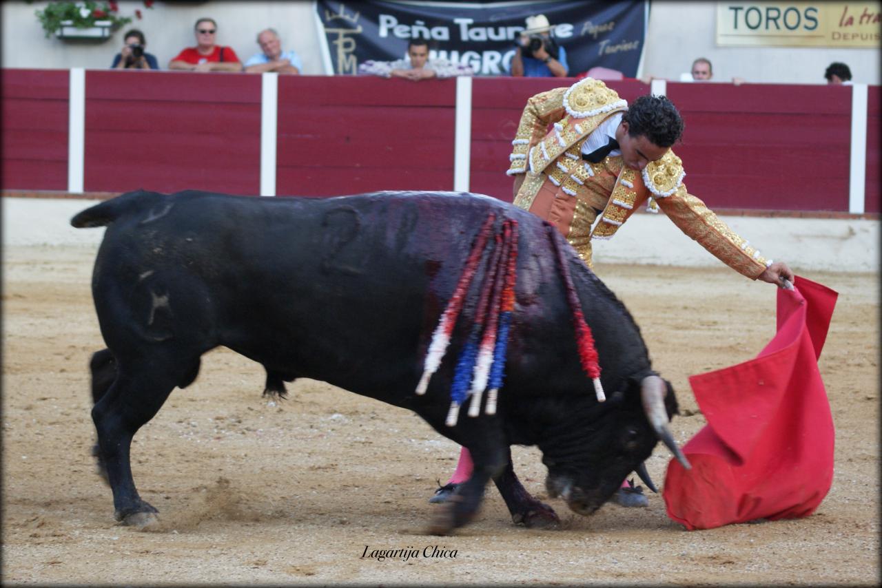 GARLIN GALDOS 7