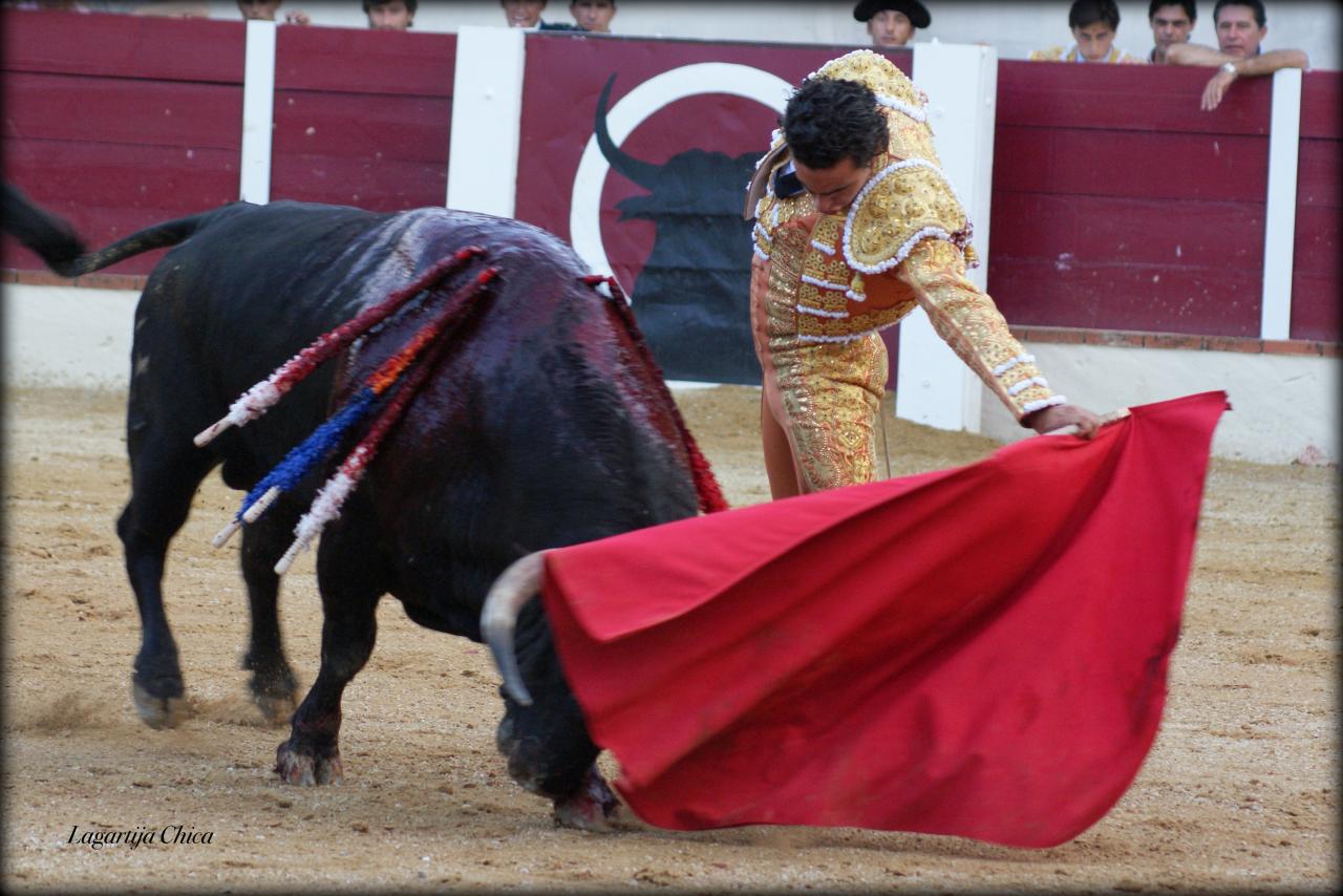 GARLIN GALDOS 8
