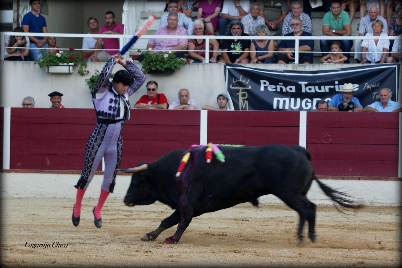 GARLIN JUAN JO 6