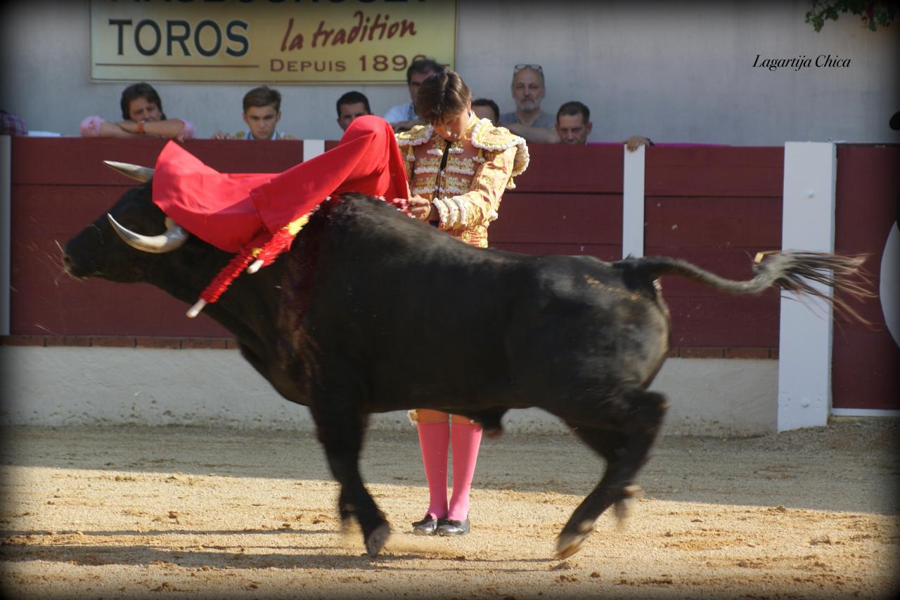 GARLIN ROCA REY 12