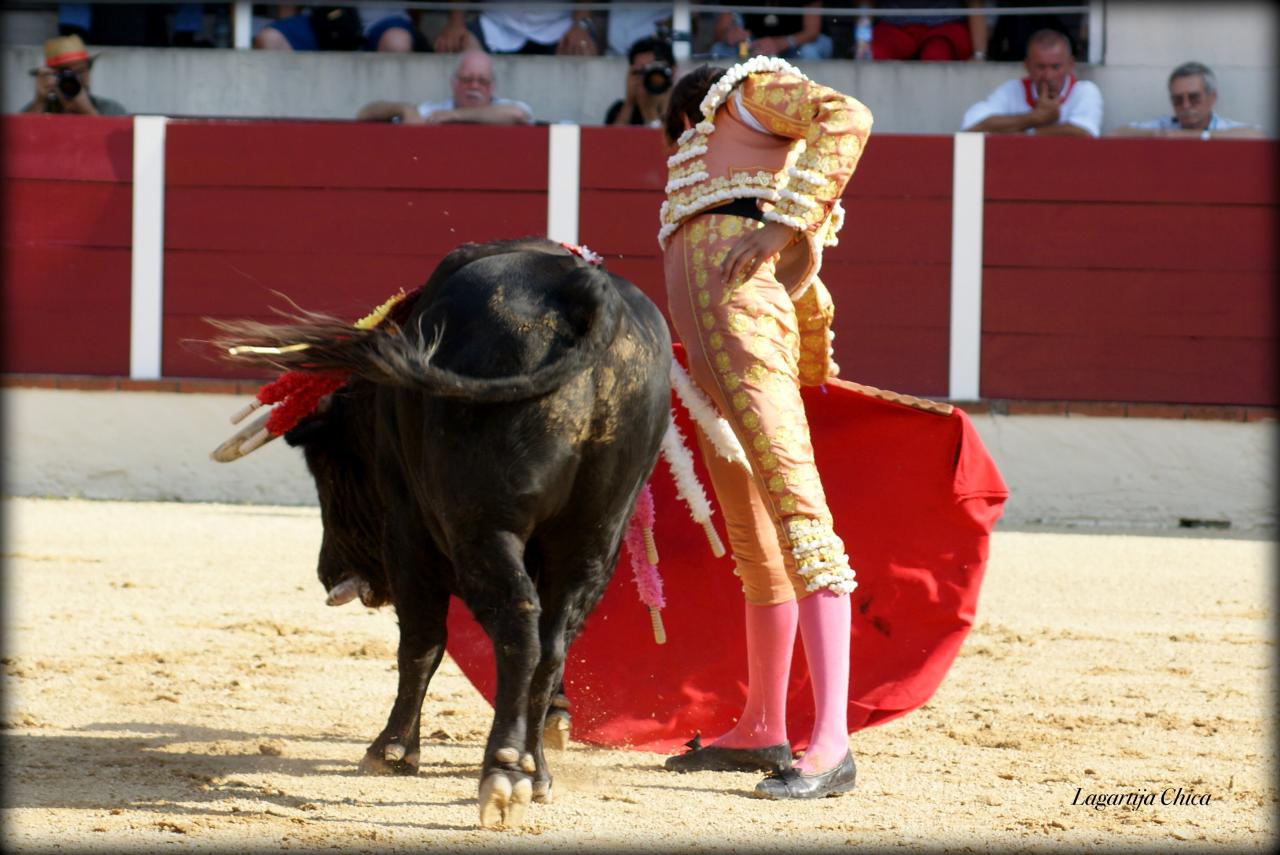 GARLIN ROCA REY 14