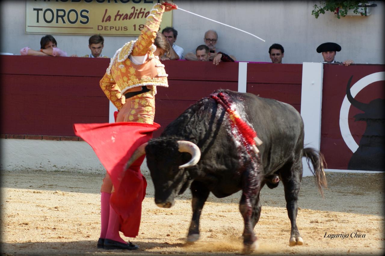 GARLIN ROCA REY 18