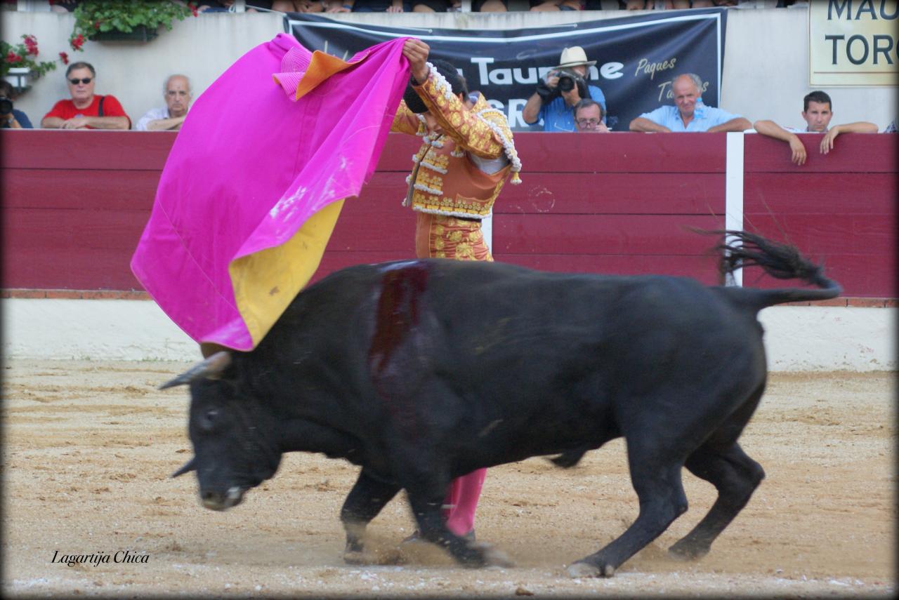 GARLIN ROCA REY 24