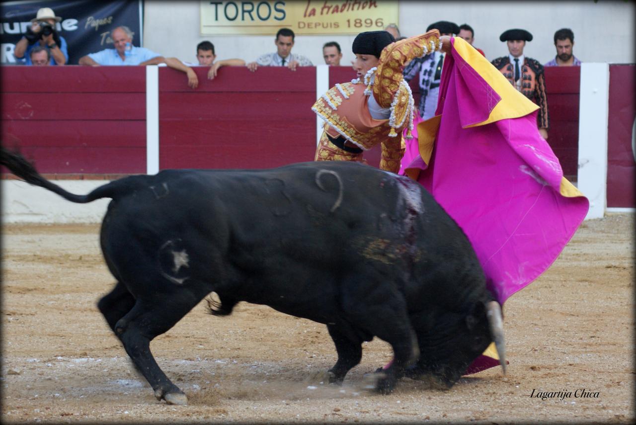 GARLIN ROCA REY 25