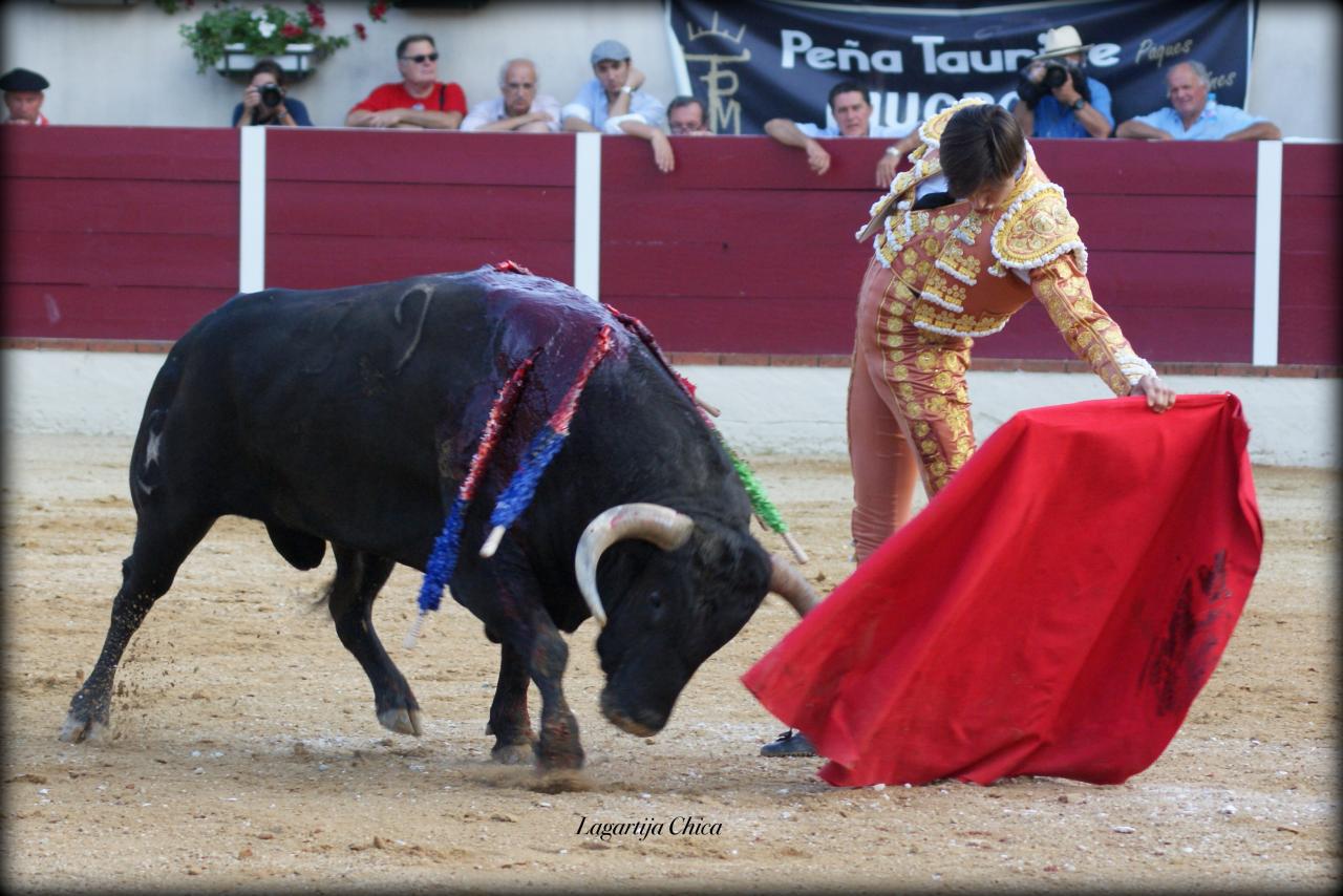 GARLIN ROCA REY 31