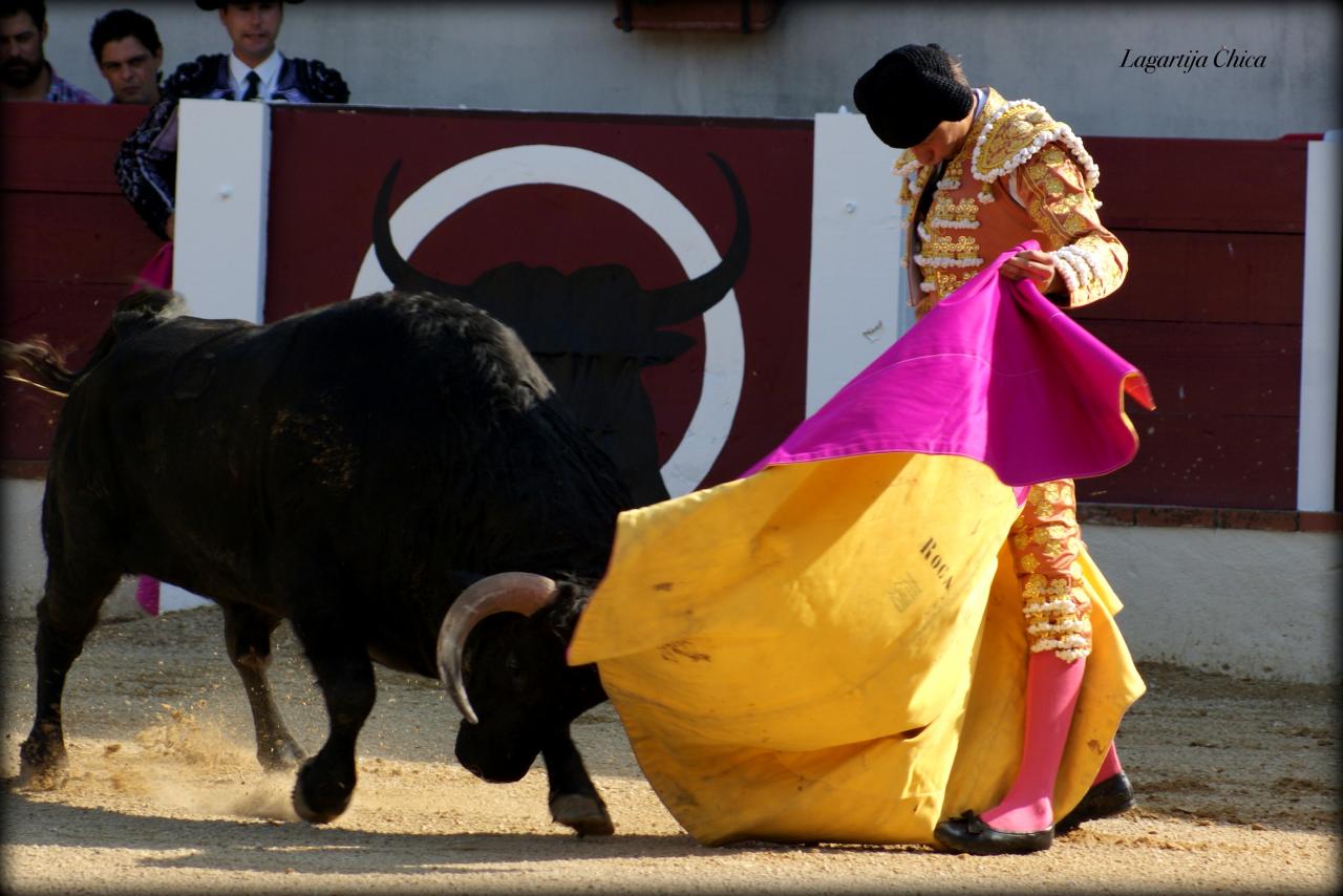 GARLIN ROCA REY 6