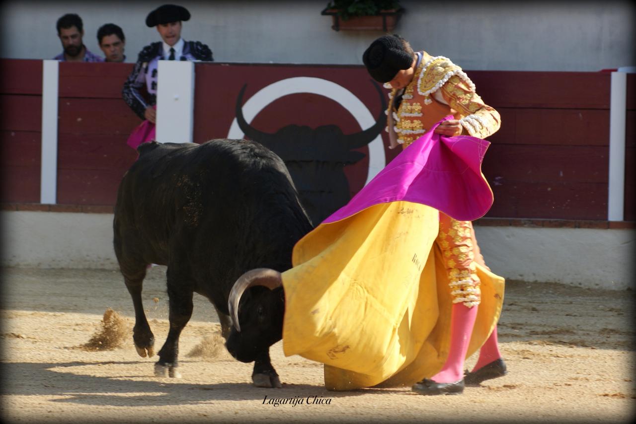 GARLIN ROCA REY 7