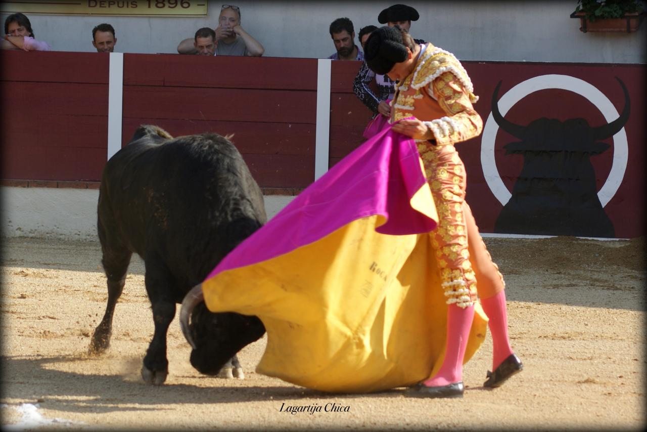 GARLIN ROCA REY 8