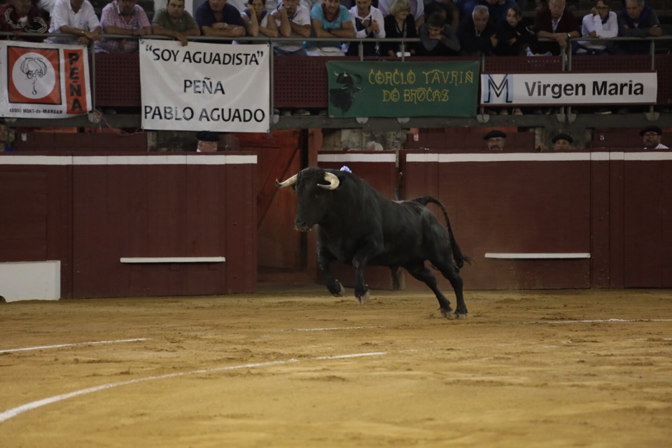 image-24-07-16-12-50