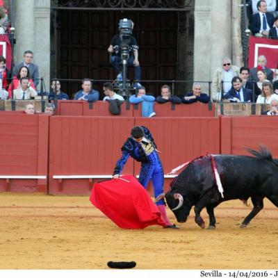 Seville : Jeudi 14 Avril : Deux oreilles pour Manzanares