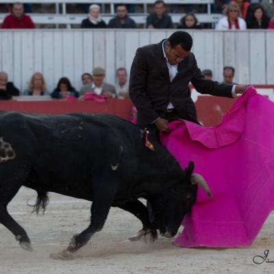 Émotions lors de la Despedida de Paquito Leal aux arènes d'Arles