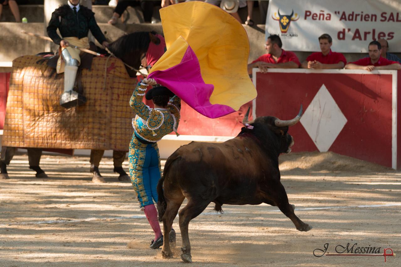 IMG_4605