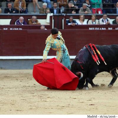 Madrid : Novillada 16 mai